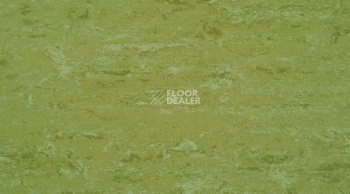 Линолеум Gerflor Linodur Sport 1011 Avocado Green фото 1 | FLOORDEALER